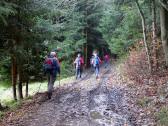  Blick auf die Wanderstrecke 