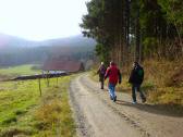  Blick auf die Wanderstrecke nach Eisenwerk 