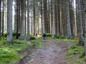  Blick auf die Wanderstrecke 