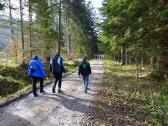  Blick auf die Wanderstrecke 