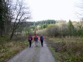  Blick auf die Wanderstrecke 