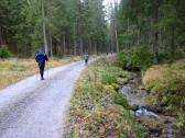  Wanderweg entlang des Einsiedelbach nach Karlstift 