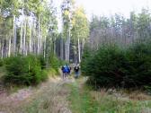  Wanderroute auf der Nordwald-Wanderstrecke 