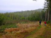  Wanderroute durch den Reichenauerwald 