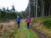  Wanderroute durch den Reichenauerwald 