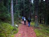  Wanderroute durch den Naturpark Nordwald 