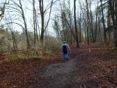  Wanderweg in der Steyr-Au 