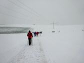 Wanderroute durch die Riede Moos zur Streckenteilung 