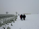 Wanderroute bergan auf dem Rabenberg zum Gehft Hhenhartner