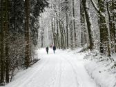  Wanderroute auf dem Rabenberg 