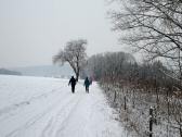  Wanderroute nach Volkersdorf 