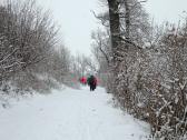  Wanderweg zum Schloss Tillysburg 