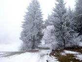  herrliche Winterlandschaft 