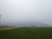  Fernblick zum Bisamberg, leider im Nebel 