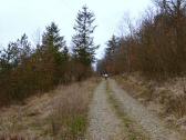 Wanderroute auf schnen Forstwegen Richtung Tautendorf 