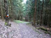 Wanderroute auf schnen Waldwegen am Haugendtberg 