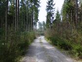  Wanderroute auf schnen Forstwegen 