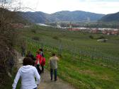  Wanderroute am Weinwanderweg 