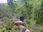 Weghindernisse durch Forstarbeiten 
