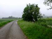 Wanderweg entlang des Michelbachs Richtung Untergrafendorf