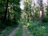  Wanderroute durch den Gutenbrunner Wald 