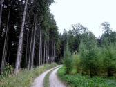  Wanderroute durch den Wald Weidholz 