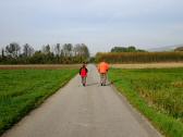  Blick auf die Wanderstrecke 