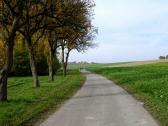  Blick auf die Wanderstrecke bei Weitendorf 