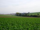  nochmals der Fernblick nach Gerersdorf 