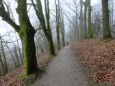 Wanderroute entlang der Traisentalbahn und der Mariazellerbahn und des Stadtwaldes