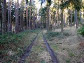  Blick auf die Wanderstrecke am Eichberg 