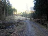  Blick auf die Wanderstrecke im Kohlgraben 