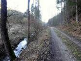  Blick auf die Wanderstrecke im Kohlgraben 