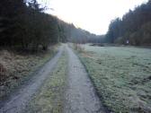  Blick auf die Wanderstrecke im Kohlgraben 