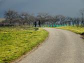  Wanderroute ber den Gterweg Zeihling 