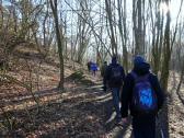  Wanderweg entlang der Fladnitz 