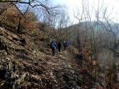 Wanderweg auf dem Welterbesteig bergan zum Stift Gttweig