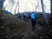 Wanderweg auf dem Welterbesteig bergan zum Stift Gttweig