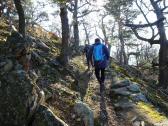 Wanderweg auf dem Welterbesteig bergan zum Stift Gttweig