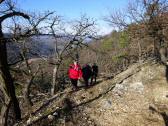 Wanderweg auf dem Welterbesteig bergan zum Stift Gttweig