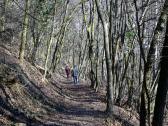  Wanderroute bergab nach Furth-Gttweig 