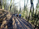  Wanderroute bergab nach Furth-Gttweig 