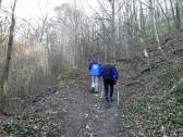  Wanderweg bergan auf dem Grnberg 