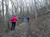  Wanderweg bergan auf dem Grnberg 