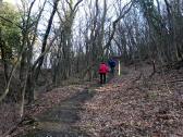  Wanderweg bergan auf dem Grnberg 