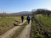  Blick auf die Wanderstrecke 