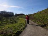  Wanderroute durch die Riede "Am Glockenberg" 