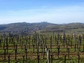 schner Fernblick nach Tiefenfuche und zum Stift Gttweig 