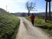  Wanderroute durch die Ried Hopfengrund 