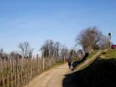  Wanderroute zum Schiffberg 